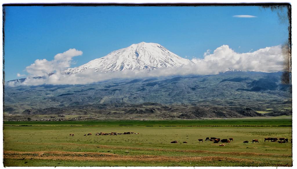 Genesis The Book Of Beginnings Mount Ararat In the beginning God created the heavens and the earth. The earth was without form, and void; and darkness was on the face of the deep.