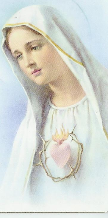 Saint Louis de Montfort Taught The Mercy of God Hope for sinners True and tender devotion to Mary He Was Opposed