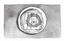 Lesson 12 n Option 3: Lion in a Cage SUPPLIES: small paper plates, markers, scissors, black construction paper, stapler Set out paper plates, scissors, markers, black construction paper, and a