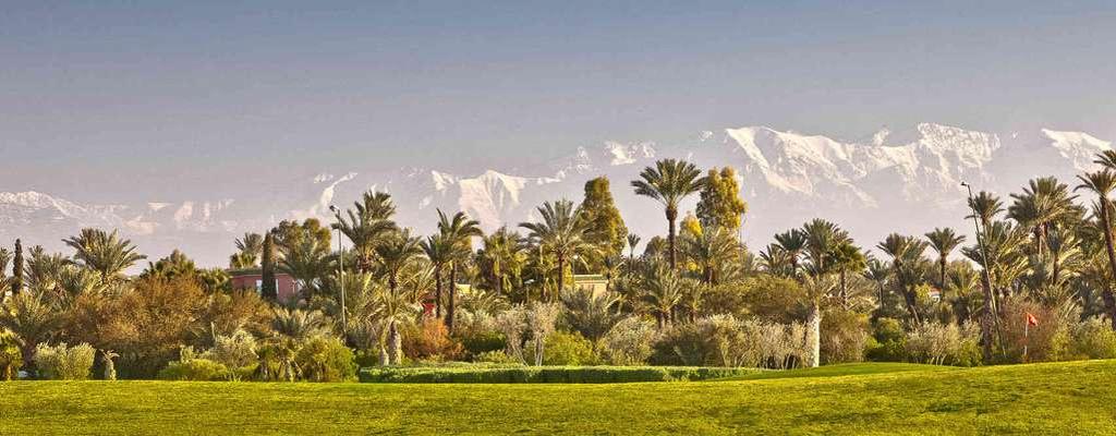 The Palmeraie of Marrakech has more than 100,000 trees, mainly palm trees, on about 15,000 hectares as well as a production of dates and a kitchen garden.