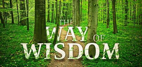 This week we will turn our attention back to the Old Testament to learn more about how we can acquire wisdom from above, or Godly Wisdom.