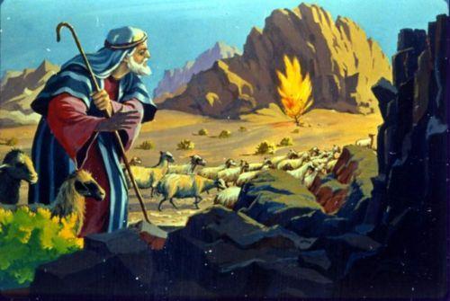 One day, Moses led the sheep to the far side of the desert to a mountain there.
