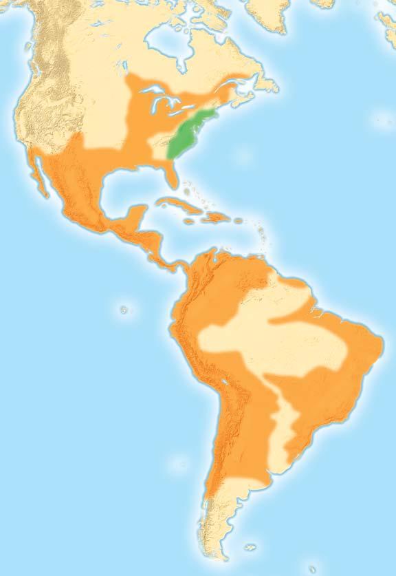 Distribution of Religions in the Americas Europeans religious beliefs influenced the spread of religions in the Americas. Spain, Portugal, and France were the main Catholic settlers of the Americas.