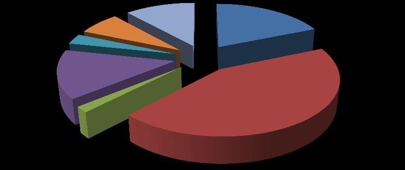Pastoral/Staff 12% Adult Discipleship 1% The following chart pictures the allocation among the