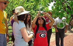 A visit to the Armenian Tree Project was especially symbolic for the students with Armenian