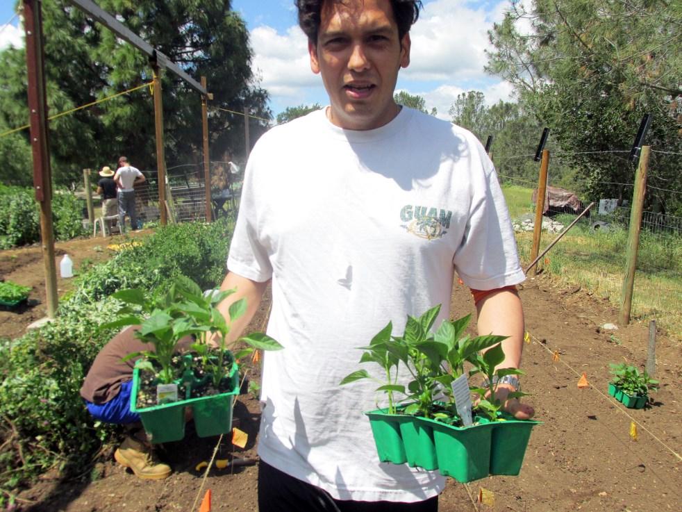 He came by last month and donated close to $500 worth of plants, varieties of bell peppers, tomatoes, and other vegetables.