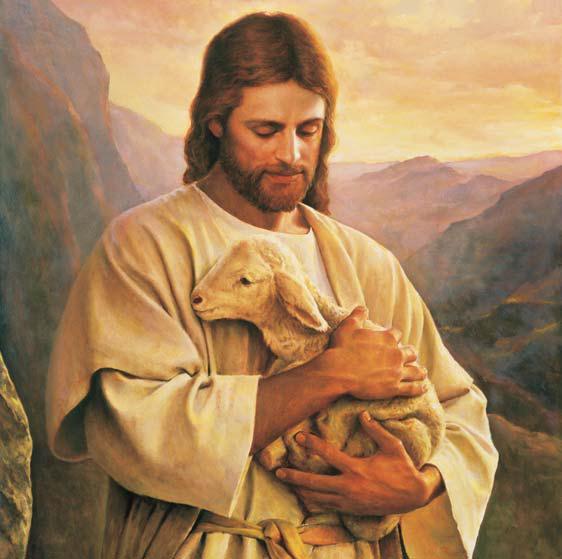Jesus replied a third time, Feed My sheep. Jesus knew Peter loved Him.
