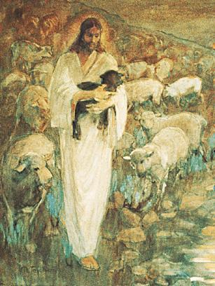 What does Jesus want His sheep to be fed?