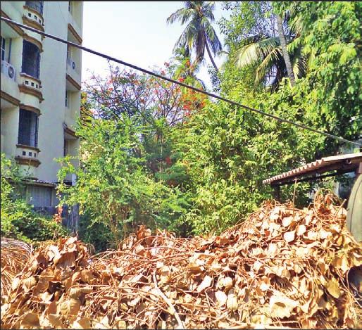 The driver told Mambalam Times that the trench on 11th Avenue in Ashok Nagar has also not been cordoned off properly to