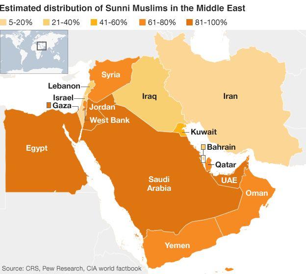 SUNNI & SHIA Sunni Shia Muslims that accepted only the descendants of Ali as true rulers of Islam.