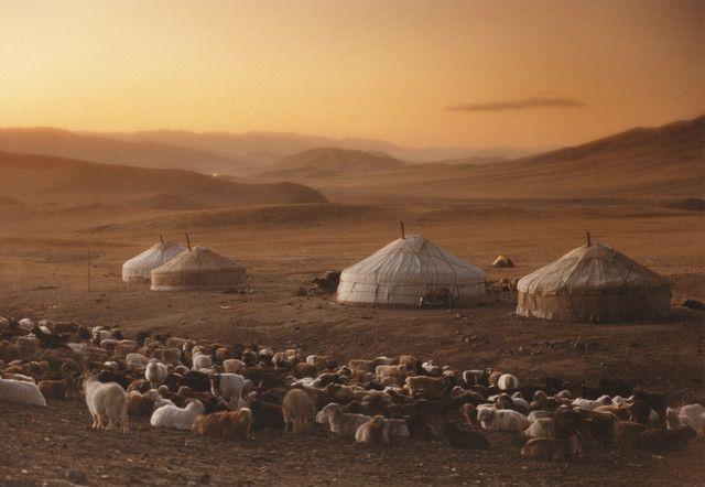 THE MONGOLS Nomads like the Mongols raised domesticated animals and moved