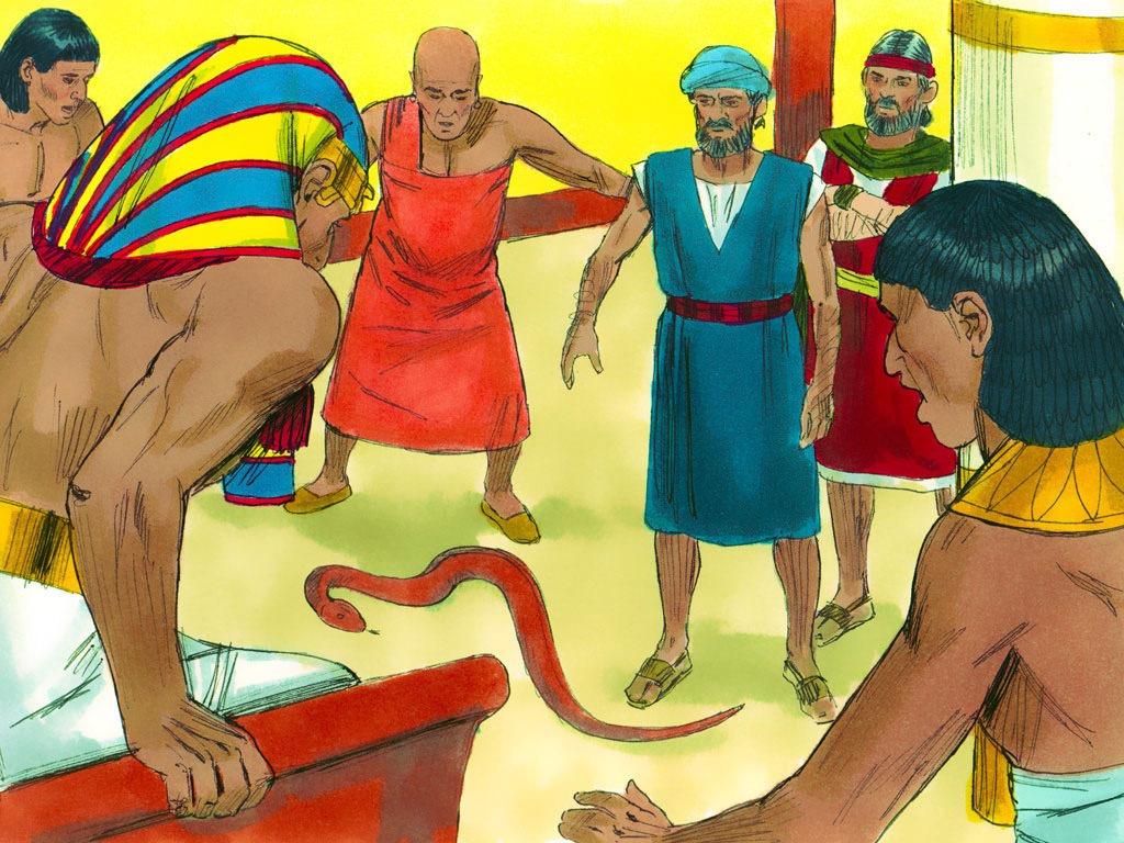 7. So Moses and Aaron went back to Pharaohagain. Pharaoh wanted to see a miracle. Moses and Aaron knew exactly what to do next (because had already prepared them).