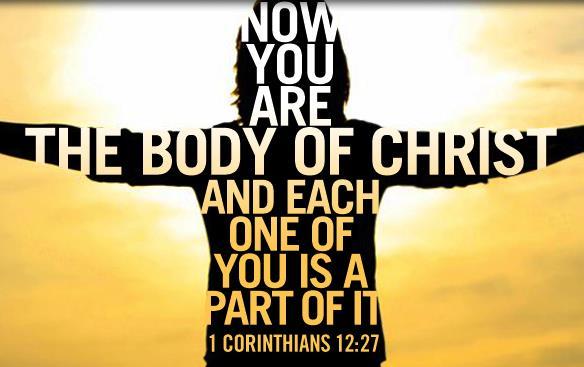 Parts of a Body 1 Corinthians 12 tells us that the Holy Spirit gives Christians different gifts to use to serve others and do his work together in the world.