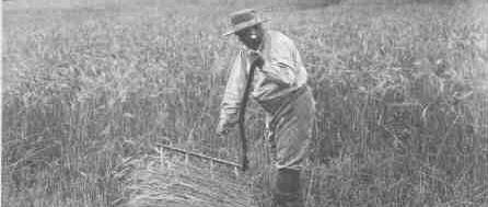 Cyrus McCormick McCormick s Reaper Revolutionized Farming With a sickle or reaping hook one man could cut from one-half to one full acre in a day.