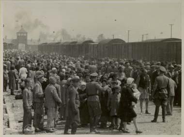 Genocide fatalities Holocaust (1941-45).