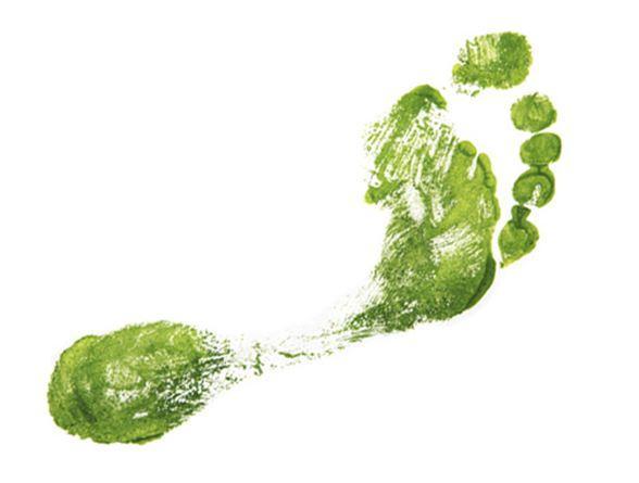 Carbon footprint What is your personal ecological