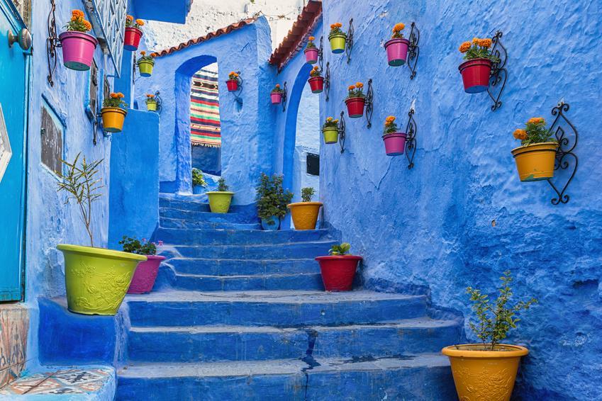 Discover the world s largest medieval medina within the walls of old Fez, the cultural heart of Morocco. Visit the blue-washed town Chefchaouen.