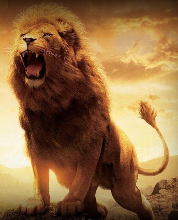 3a And cried with a loud voice, as when a lion roareth: It is said that the roaring of a lion can strike fear into the bravest heart. An adult male lion s roar can be heard as far as five miles away.