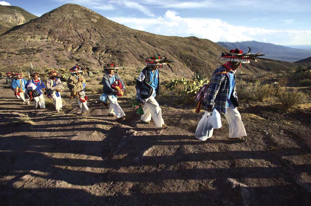 Walking until the End of the World A sacred landscape under threat in Mexico Daniel Stone Above: Huichol pilgrims walk across the sacred landscape Right: Huichol marakame (shaman) The Wirrikuta is an