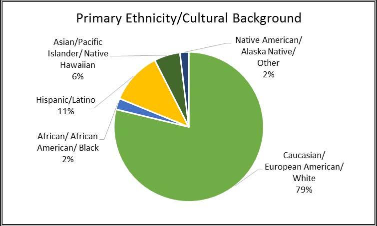 Primary Ethnicity/Cultural Background Four in five responding priests and seminarians identify their primary ethnicity or cultural background as Caucasian/European American/white.