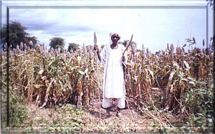صورة رقم (2) مزارع يحمل ا دوات الزراعة صورة رقم (3) ا دوات