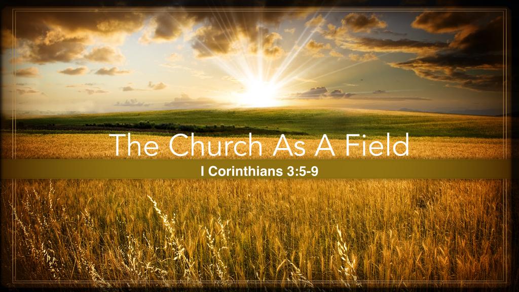March 22, 2015 Series: Pictures of the Church The Church is a Field: The Goal is Quantity Kitwe Church Introduction: We have all seen the signs along the road saying, Have you eaten today?