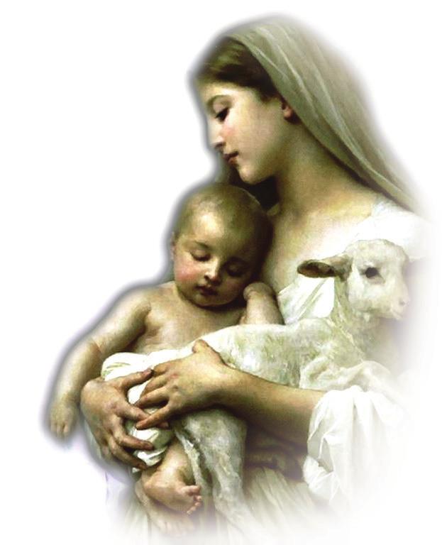 Order for the Naming and Commendation Cover Image: L Innocence by William Adolphe Bouguereau Excerpts from the Book of Blessings 1989, the United Sates Catholic Conference, Washington, D.C. Used with permission.