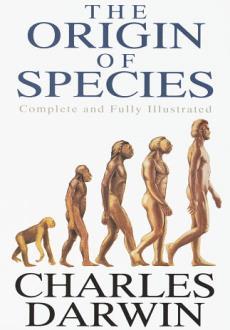 The Theory of Evolution This scientific theory helps explain the origins of life on earth. It was put forward by the scientist Charles Darwin.
