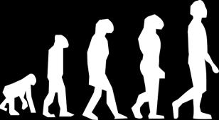 animals evolved, or gradually changed over long periods to time from simple things to more complex. This is the idea of evolution. B.