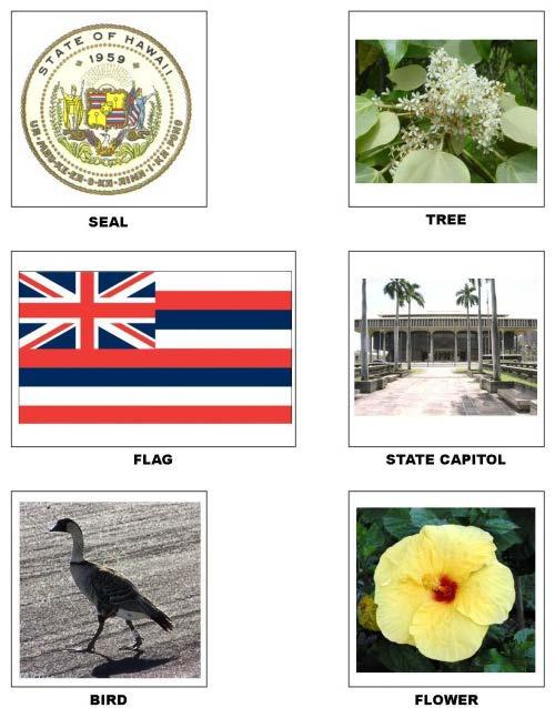 ANSWER KEYS Note: The answer keys in Fifty States Under God contain information about all fifty states. The Hawaii information in included here for your convenience.