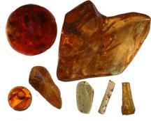 Sacred Stones March 2012 Crystal of the Month: Amber By Larry Bassett Background: Amber is an amazing crystal and a sacred gemstone in all ancient cultures.