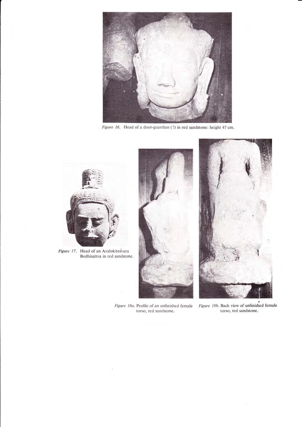 Figure /6. Head of a door-guardian(?) in red sandstone: height 47 em. Figure 17.