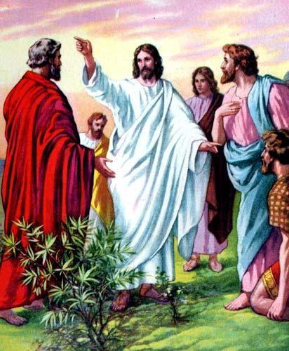talking, He pulled his disciples aside and used the example to teach them. He told them, People who are well don t need a doctor but people who are sick do.