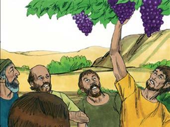 They also brought some of the pomegranates and figs. 24 The place was called the Valley of Eshcol, because of the cluster which the men of Israel cut down there.