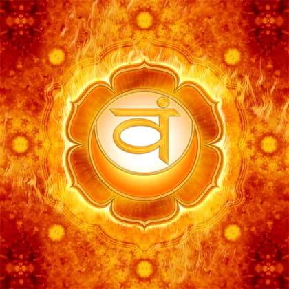 By mastering your first chakra and its survival instinct, you have the foundation of support required to focus on your higher By owning, balancing and operating your first chakra, you get to heal and