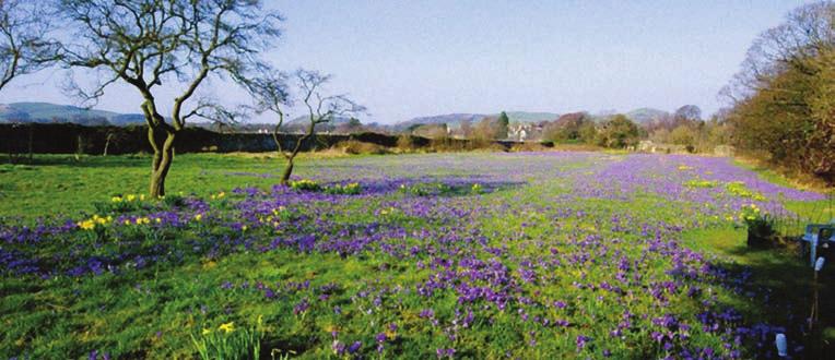 Day events Swarthmoor Hall s diverse programme of day events offers fresh reasons to visit and new ways of enjoying what the Hall offers. Spring bulbs at Swarthmoor Hall.