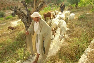 Walking Free DAY 6 - Wednesday, Sep. 5 Bethlehem & Regions Herod, Angels, Shepherds. Focus on Places and the People who witnessed the Jewish Messiah.