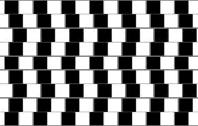 impossible to mis-interpret the world. Yet, we do mis-interpret the world when we experience visual illusions such as shown below: But what about illusions?