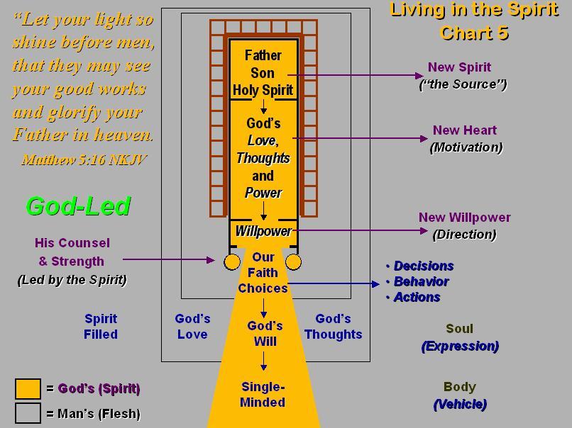 In God s temple, people could see the Shekinah Glory radiating through the windows and the front door, much like they saw it as the pillar of fire led them through the wilderness.