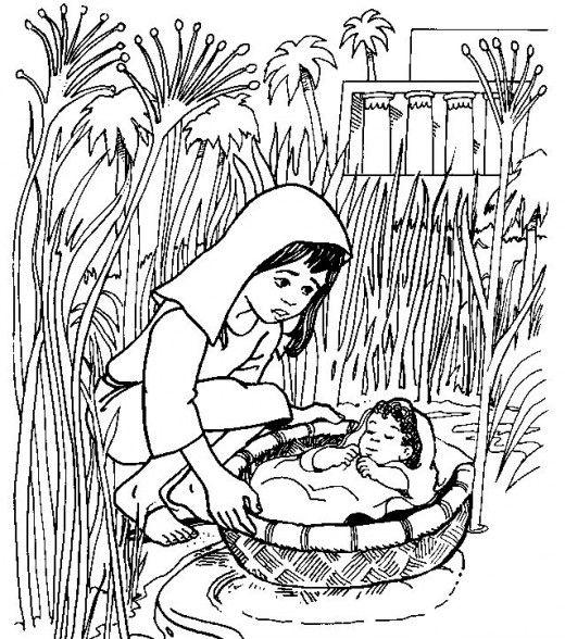 LESSON 4 - MOSES To save her baby, Moses mother placed him in a basket in the