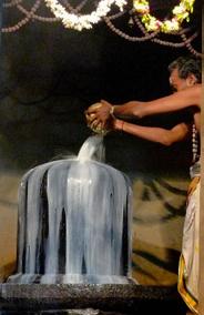In the human body, Shiva (in the form of a lingam) is said to correspond with the entire brain.