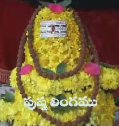 Flower Siva lingam Auspicious homa offerings Pomegranate Siva lingam Mahanyasa Rudrabhishekam brings wonderful and