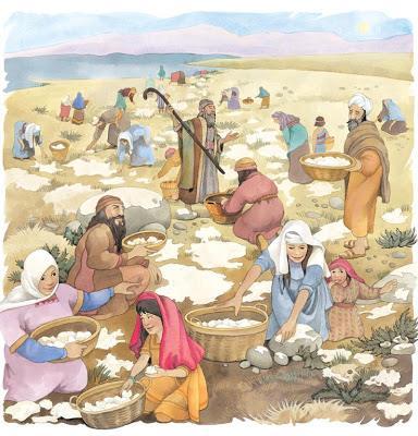 Exodus 16-17: Bread and Water About a month after leaving Egypt, the Israelites began to murmur for food.