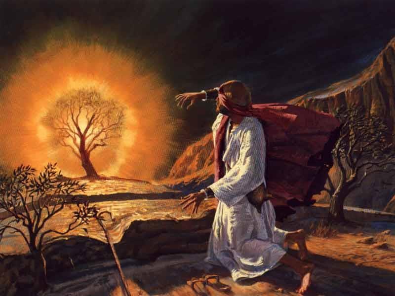 Exodus 3-4: God Calls Moses Moses, while watching sheep, saw a bush burning on a mountain, but the bush did not burn up.