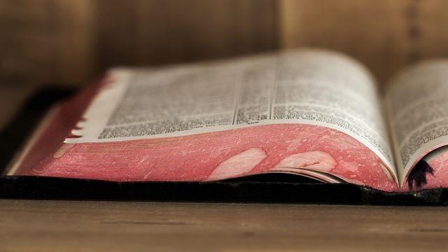 We will be using the Bible in a Year plan from the youversion app. This plan is provided by the American Bible Society. On January 1 go to the Bible App and choose the Bible in a Year plan.