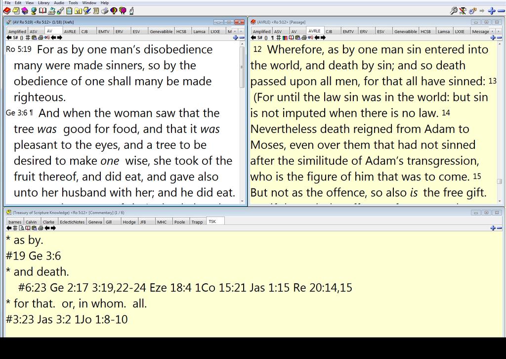 When you select a passage, as Rom 5:12 in the upper right, the bottom window