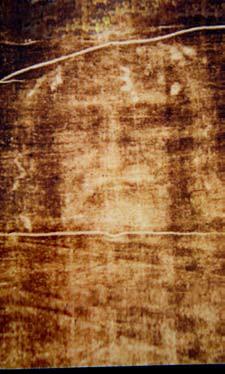 95 each Our Shroud t-shirts are made of 100% shrink resistant cotton, and the images come from our extremely rare, original 1898 Secondo Pia photograph of the Shroud of Turin, insuring first