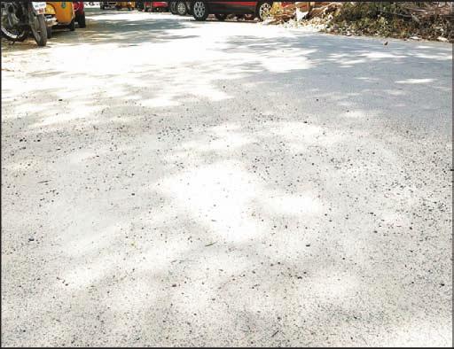 The residents of the road have appealed to Chennai Corporation to remove the bin as it is a health hazard.