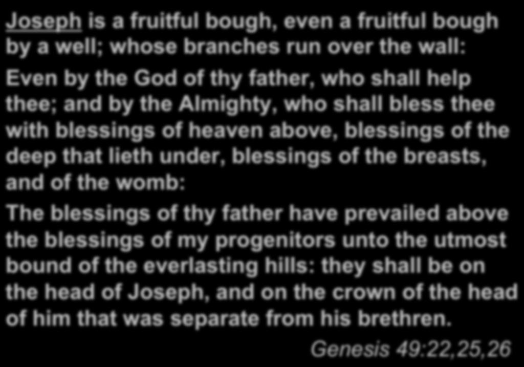 Joseph is a fruitful bough, even a fruitful bough by a well; whose branches run over the wall: Even by the God of thy father, who shall help thee; and by the Almighty, who shall bless thee with