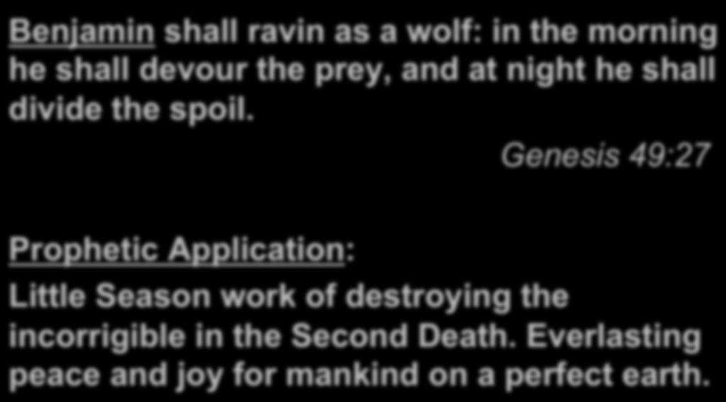 Benjamin shall ravin as a wolf: in the morning he shall devour the prey, and at night he shall divide the spoil.